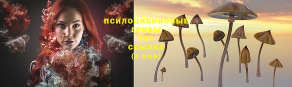 каннабис Алексеевка