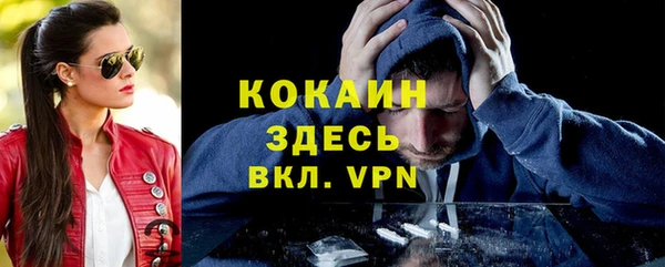 бошки Вяземский